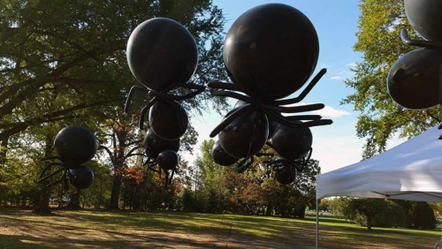 Jumbo Balloon Spiders